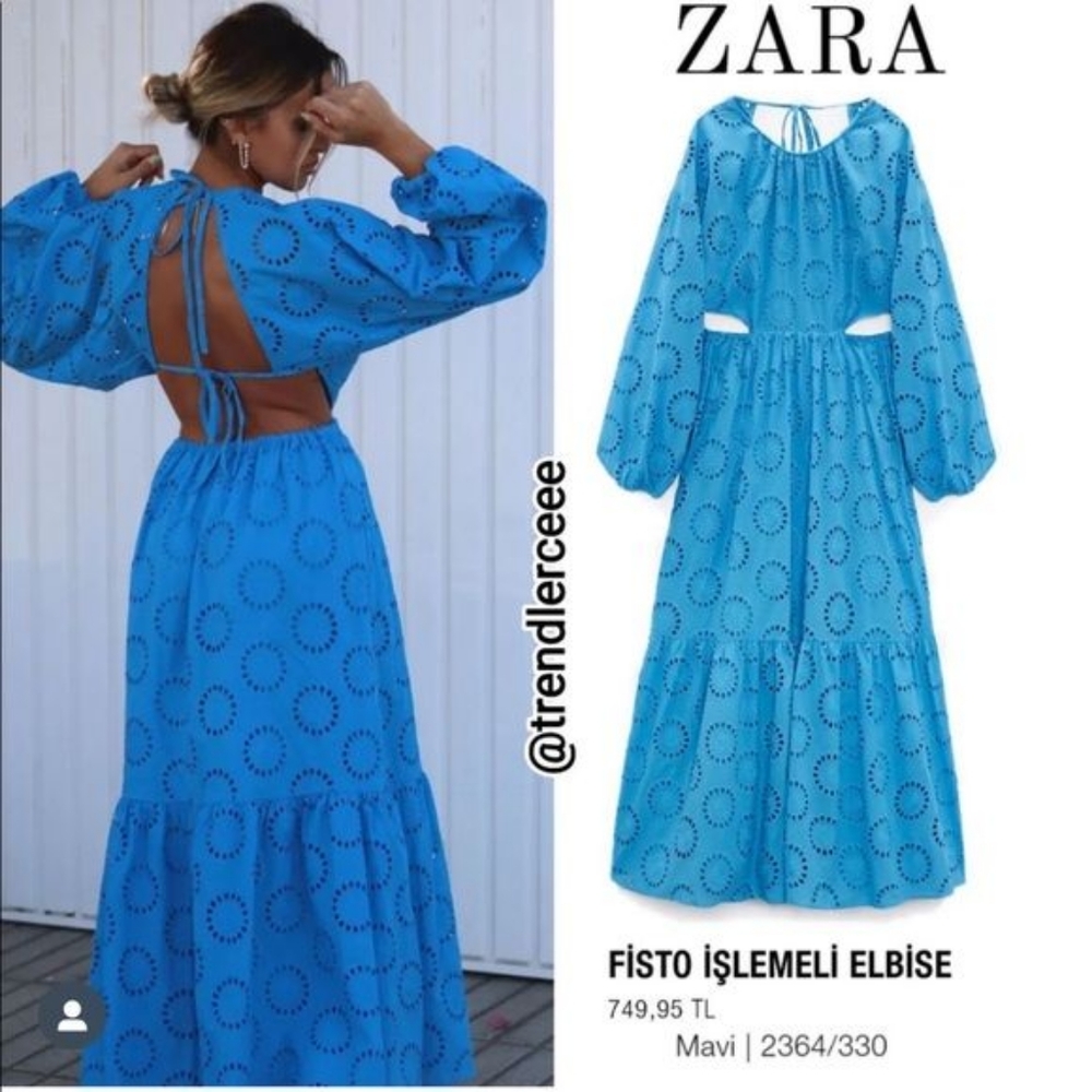 Zara Cutout Openwork Open Back Dress
